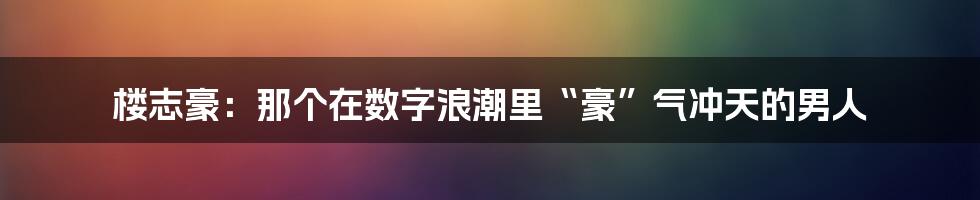 楼志豪：那个在数字浪潮里“豪”气冲天的男人