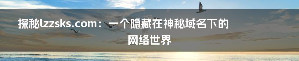 探秘lzzsks.com：一个隐藏在神秘域名下的网络世界