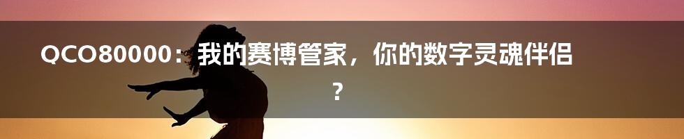 QCO80000：我的赛博管家，你的数字灵魂伴侣？