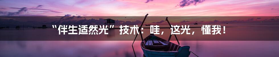 “伴生适然光”技术：哇，这光，懂我！