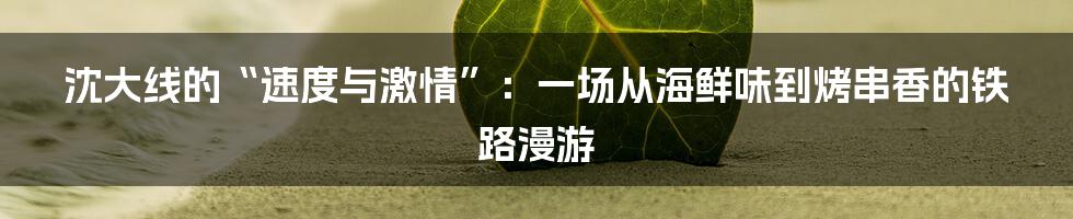 沈大线的“速度与激情”：一场从海鲜味到烤串香的铁路漫游