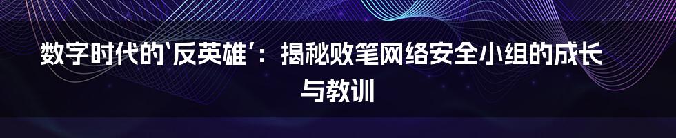 数字时代的‘反英雄’：揭秘败笔网络安全小组的成长与教训