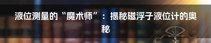 液位测量的“魔术师”：揭秘磁浮子液位计的奥秘
