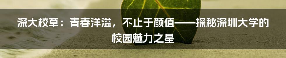 深大校草：青春洋溢，不止于颜值——探秘深圳大学的校园魅力之星
