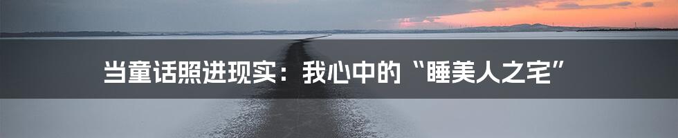 当童话照进现实：我心中的“睡美人之宅”