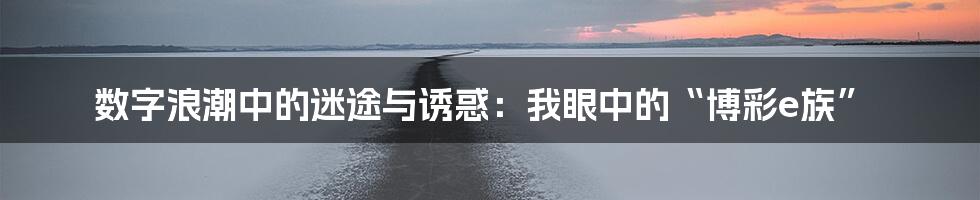 数字浪潮中的迷途与诱惑：我眼中的“博彩e族”