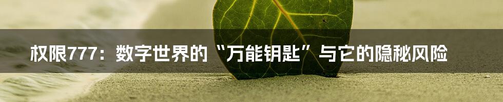 权限777：数字世界的“万能钥匙”与它的隐秘风险