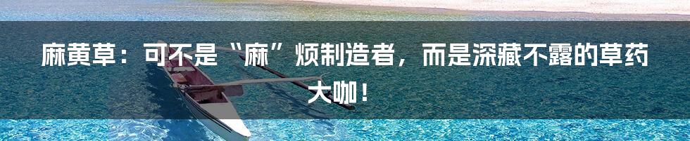 麻黄草：可不是“麻”烦制造者，而是深藏不露的草药大咖！