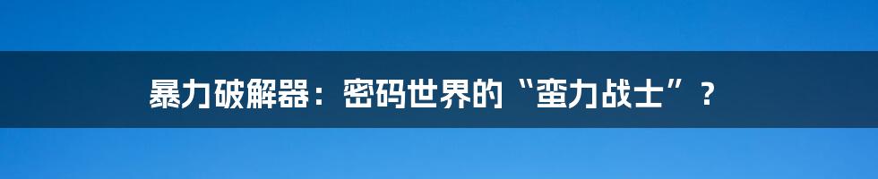 暴力破解器：密码世界的“蛮力战士”？