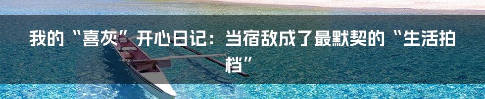 我的“喜灰”开心日记：当宿敌成了最默契的“生活拍档”