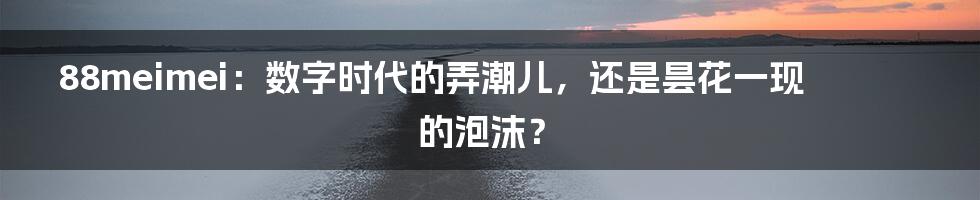 88meimei：数字时代的弄潮儿，还是昙花一现的泡沫？