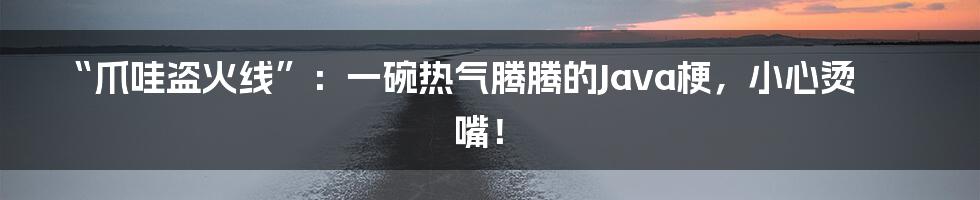 “爪哇盗火线”：一碗热气腾腾的Java梗，小心烫嘴！