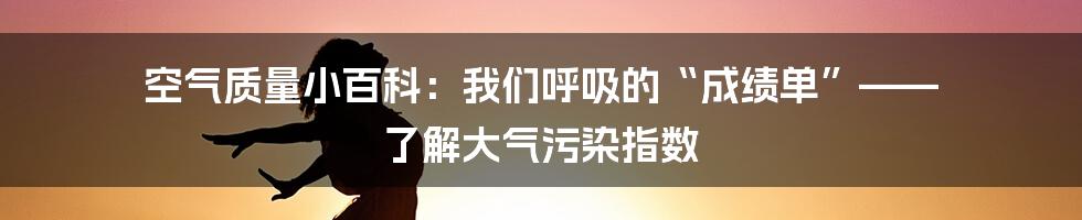 空气质量小百科：我们呼吸的“成绩单”—— 了解大气污染指数