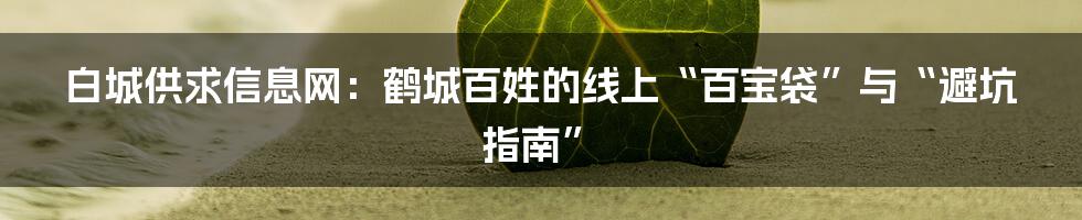 白城供求信息网：鹤城百姓的线上“百宝袋”与“避坑指南”