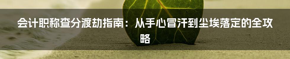 会计职称查分渡劫指南：从手心冒汗到尘埃落定的全攻略
