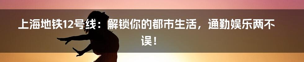 上海地铁12号线：解锁你的都市生活，通勤娱乐两不误！