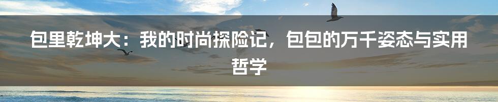 包里乾坤大：我的时尚探险记，包包的万千姿态与实用哲学