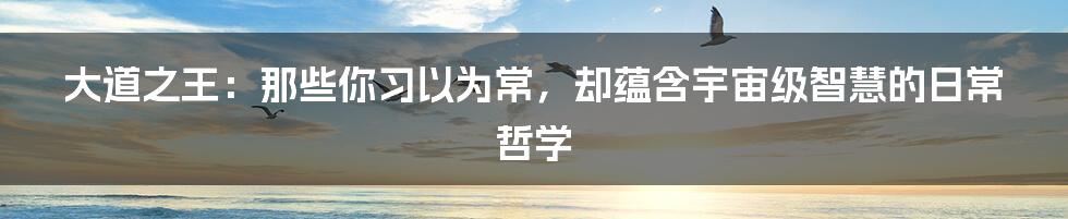 大道之王：那些你习以为常，却蕴含宇宙级智慧的日常哲学