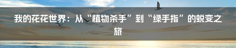 我的花花世界：从“植物杀手”到“绿手指”的蜕变之旅