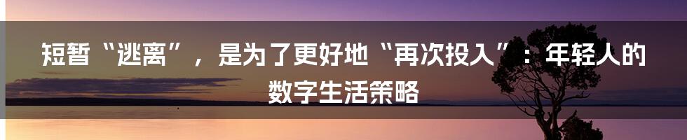 短暂“逃离”，是为了更好地“再次投入”：年轻人的数字生活策略