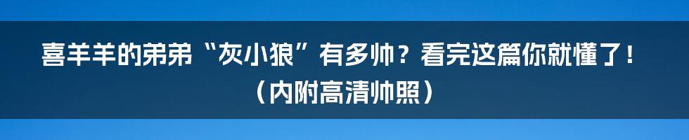 喜羊羊的弟弟“灰小狼”有多帅？看完这篇你就懂了！（内附高清帅照）