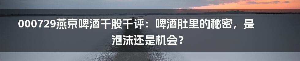 000729燕京啤酒千股千评：啤酒肚里的秘密，是泡沫还是机会？