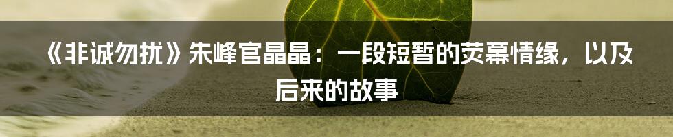 《非诚勿扰》朱峰官晶晶：一段短暂的荧幕情缘，以及后来的故事