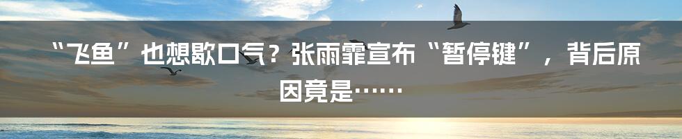“飞鱼”也想歇口气？张雨霏宣布“暂停键”，背后原因竟是……