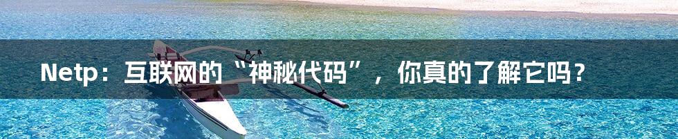 Netp：互联网的“神秘代码”，你真的了解它吗？
