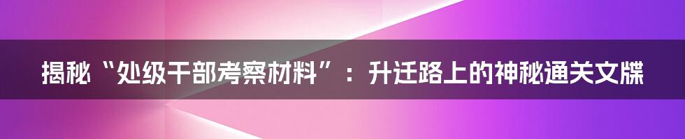 揭秘“处级干部考察材料”：升迁路上的神秘通关文牒