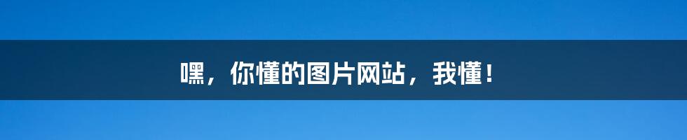 嘿，你懂的图片网站，我懂！