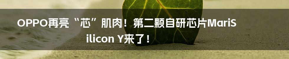 OPPO再亮“芯”肌肉！第二颗自研芯片MariSilicon Y来了！