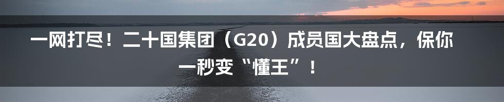 一网打尽！二十国集团（G20）成员国大盘点，保你一秒变“懂王”！