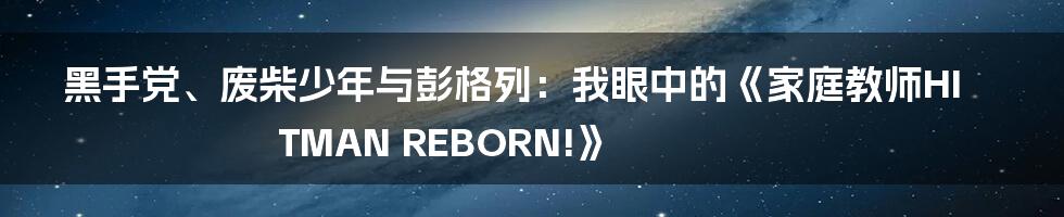 黑手党、废柴少年与彭格列：我眼中的《家庭教师HITMAN REBORN!》