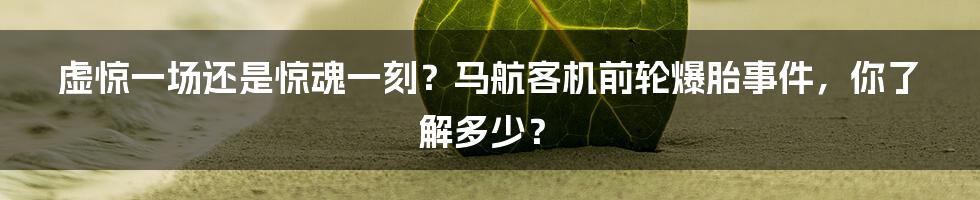 虚惊一场还是惊魂一刻？马航客机前轮爆胎事件，你了解多少？