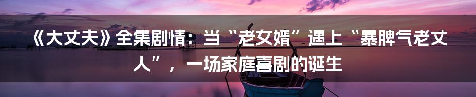 《大丈夫》全集剧情：当“老女婿”遇上“暴脾气老丈人”，一场家庭喜剧的诞生