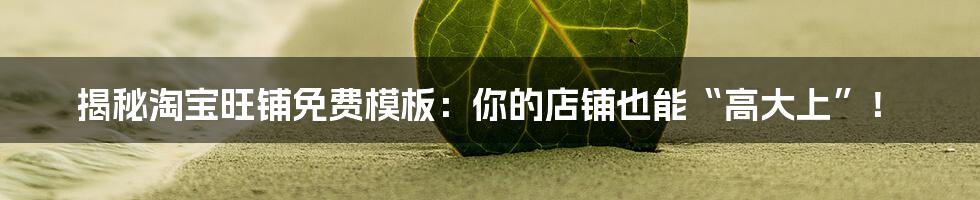 揭秘淘宝旺铺免费模板：你的店铺也能“高大上”！