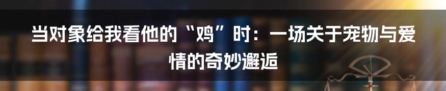 当对象给我看他的“鸡”时：一场关于宠物与爱情的奇妙邂逅
