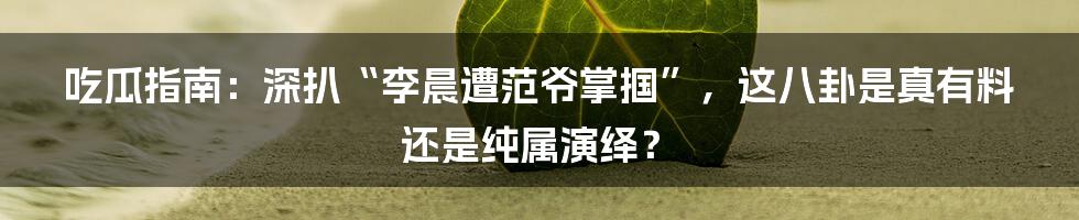 吃瓜指南：深扒“李晨遭范爷掌掴”，这八卦是真有料还是纯属演绎？