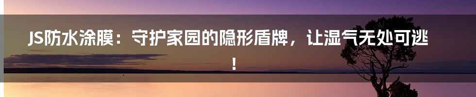 JS防水涂膜：守护家园的隐形盾牌，让湿气无处可逃！