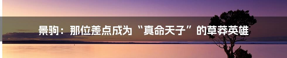 景驹：那位差点成为“真命天子”的草莽英雄