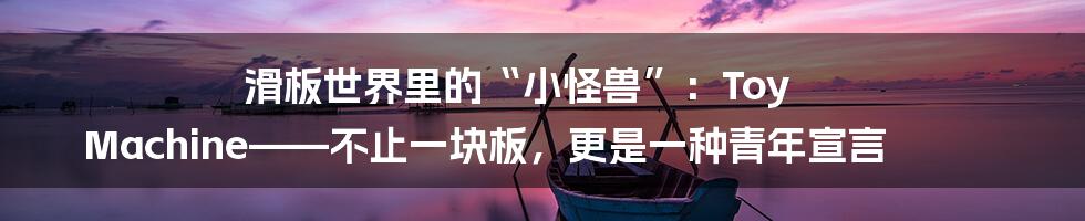 滑板世界里的“小怪兽”：Toy Machine——不止一块板，更是一种青年宣言