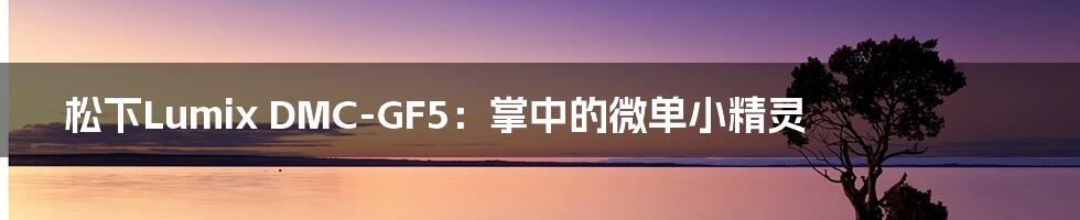 松下Lumix DMC-GF5：掌中的微单小精灵
