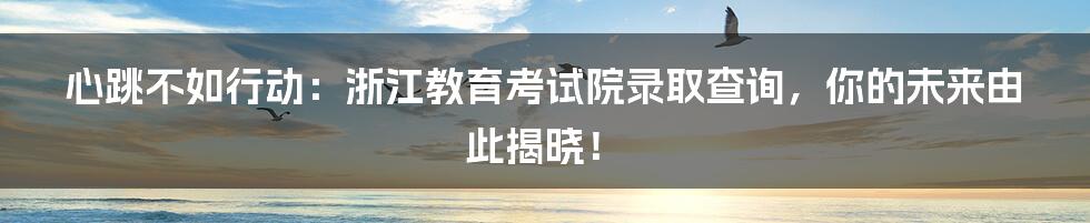 心跳不如行动：浙江教育考试院录取查询，你的未来由此揭晓！