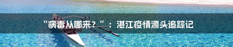 “病毒从哪来？”：湛江疫情源头追踪记