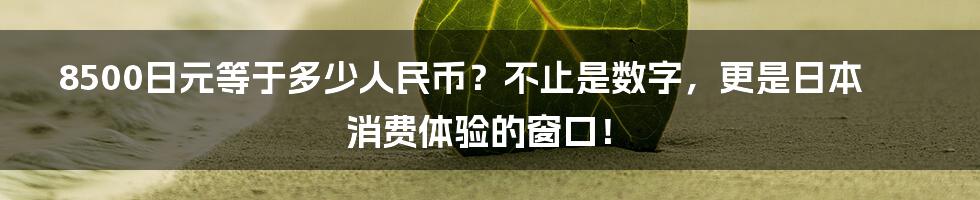 8500日元等于多少人民币？不止是数字，更是日本消费体验的窗口！
