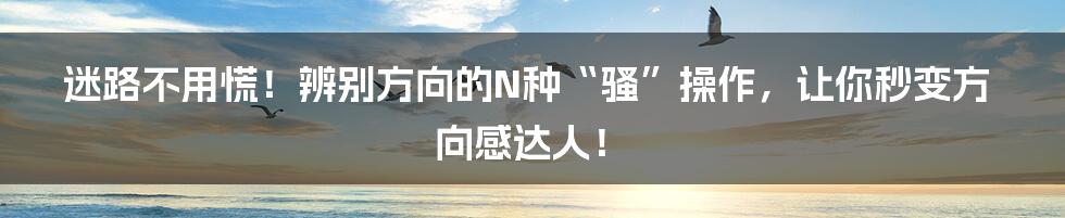 迷路不用慌！辨别方向的N种“骚”操作，让你秒变方向感达人！