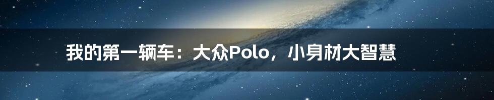我的第一辆车：大众Polo，小身材大智慧