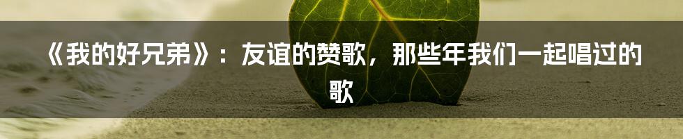 《我的好兄弟》：友谊的赞歌，那些年我们一起唱过的歌