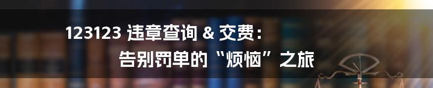 123123 违章查询 & 交费： 告别罚单的“烦恼”之旅
